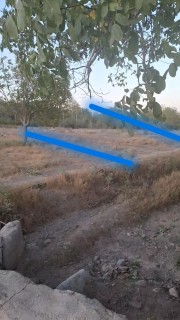 زمین باغی دستجرد
