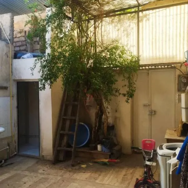 سمیه کوچه ۶