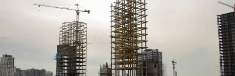 کلنگی سالاریه _ تراکم بالا