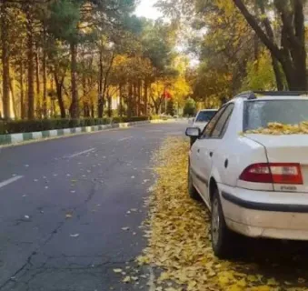 فروش خانه کلنگی ۲۰۰ متری جنوبی با تراکم ۵ طبقه در سالاریه قم
