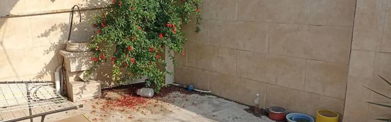 فروش ویلایی همه چی تمام