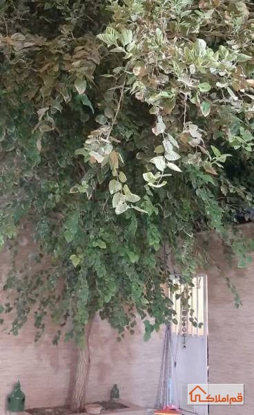 منزل ویلایی
