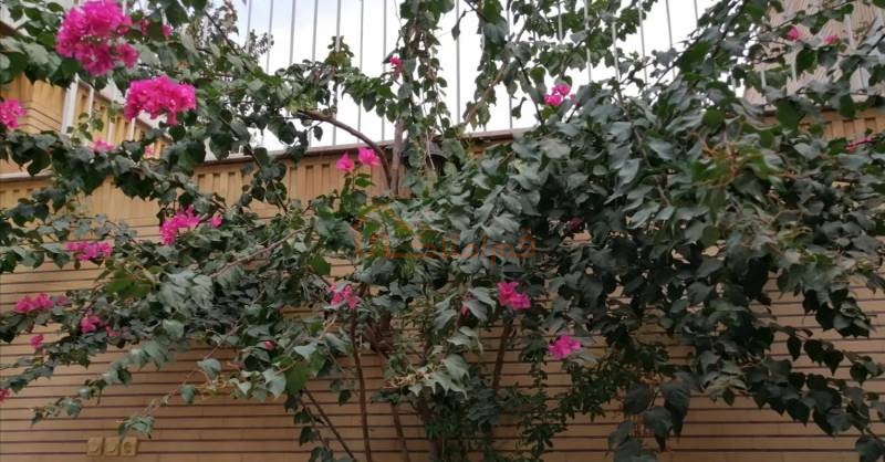 منزل ویلایی 135